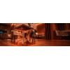 KUAS MASA ALTI İNFRARED ISITICI CONFORTABLE ELEKTRİKLİ ISITICI 300 WATT (560X560X20)